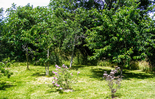 Location de vacances - Deux Sevres , France - FJD039 102