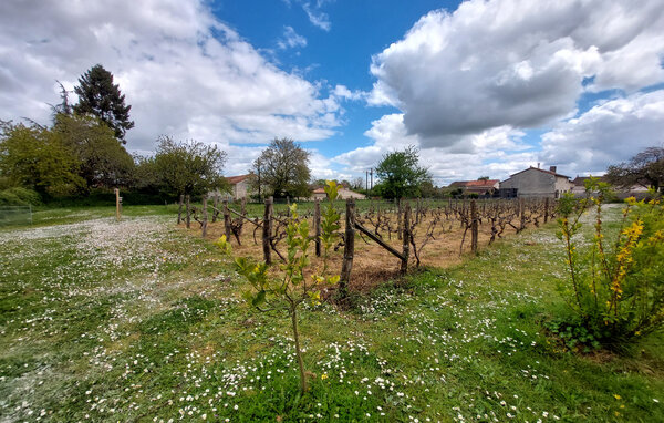 Kuća-za-odmor - Savigné , Francuska - FJV048 103