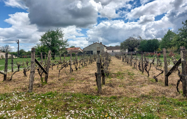 Kuća-za-odmor - Savigné , Francuska - FJV048 104
