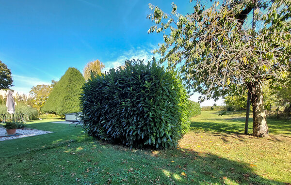 Ferienhaus - Ceaux-en-Loudun , Frankreich - FJV050 106