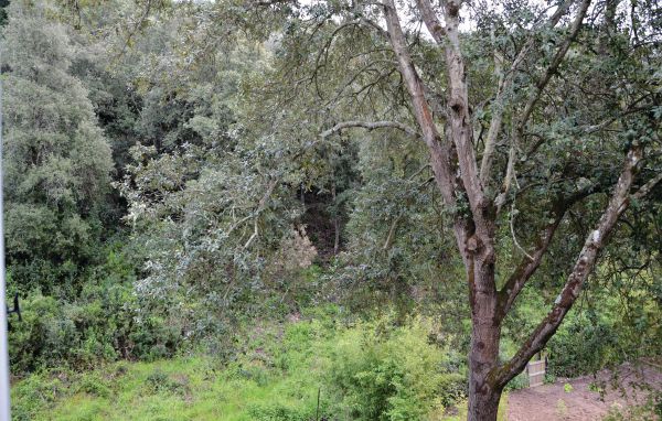 Location de vacances - Sagone , France - FKO154 903