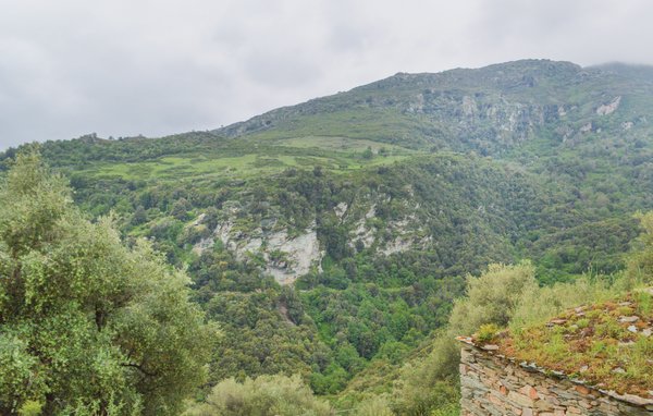 Kuća-za-odmor - Santu Petru di Tenda , Francuska - FKO327 101