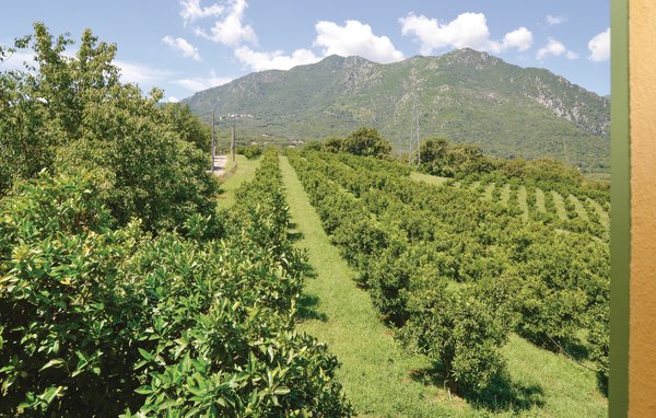 Location de vacances - Santa Maria Poggio , France - FKO343 102