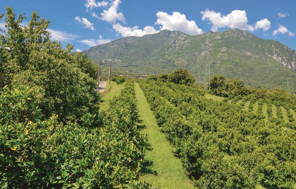 Casa de vacaciones - Santa Maria Poggio , Francia - FKO344 102