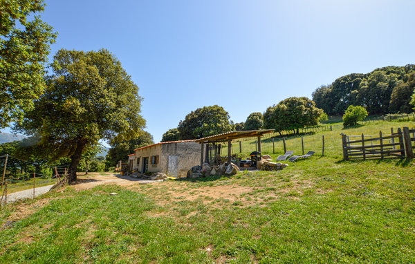 Location de vacances - Pila canale , France - FKO451 103
