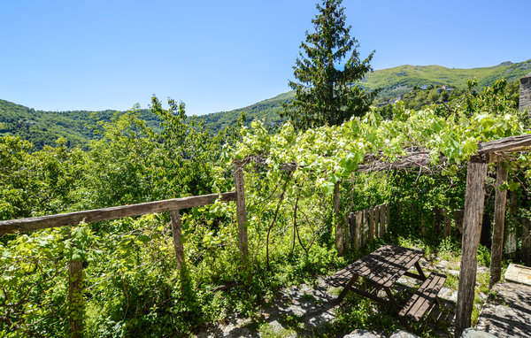 Location de vacances - Carcheto Brustico , France - FKO456 101