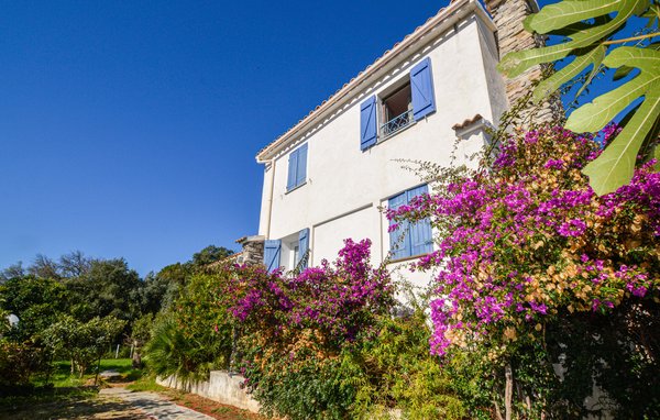 Vakantiehuis - St Andrea di Cotone , Frankrijk - FKO533 82