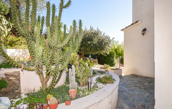 Vakantiehuis - St Andrea di Cotone , Frankrijk - FKO533 102