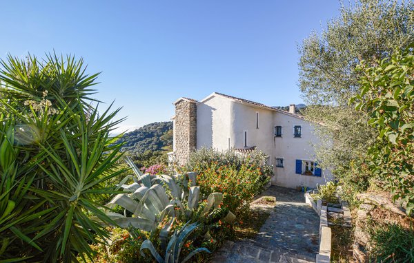 Vakantiehuis - St Andrea di Cotone , Frankrijk - FKO533 104