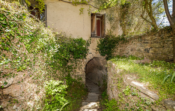 Apartment - Carcheto , France - FKO552 801