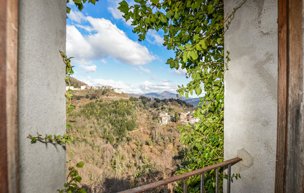 Apartment - Carcheto , France - FKO552 603