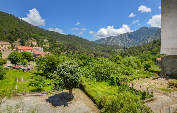 Appartement - Ghisoni , France - FKO585 201