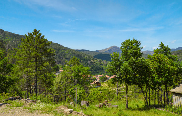 Appartement - Ghisoni , France - FKO586 902