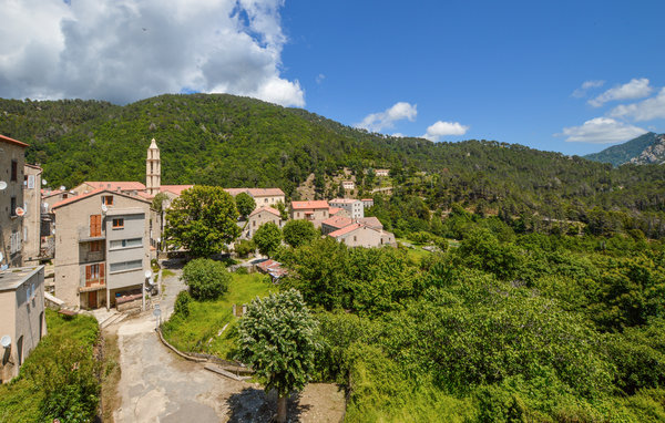 Appartement - Ghisoni , France - FKO586 201