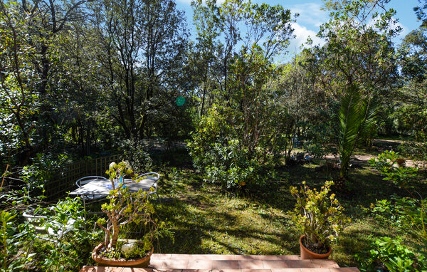 Kuća-za-odmor - Afa , Francuska - FKO629 101