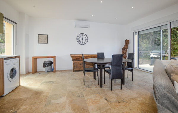 Domy wakacyjne - Petreto Bicchisano , Francja - FKO637 301