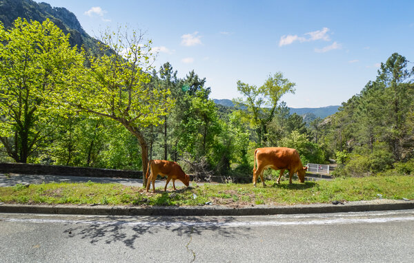 Ferienwohnung - Poggio di Nazza , Frankreich - FKO641 902