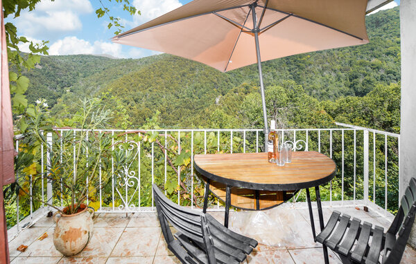 Apartment - Sant Andrea di Bozio , France - FKO653 1