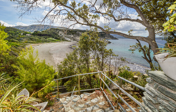 Location de vacances - Patrimonio , France - FKO657 2