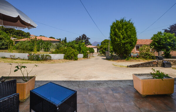 Appartement - Piana , France - FKO704 201