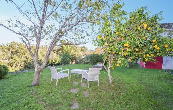 Apartment - Erbalunga , France - FKO716 103