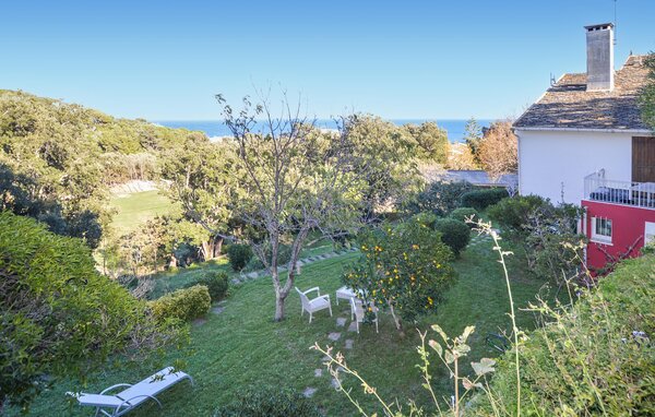 Apartment - Erbalunga , France - FKO716 2