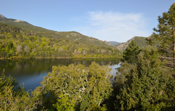 Casa vacanze - LUGO DI NAZZA , Francia - FKO718 901