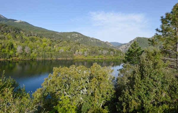 Appartamento - LUGO DI NAZZA , Francia - FKO719 901