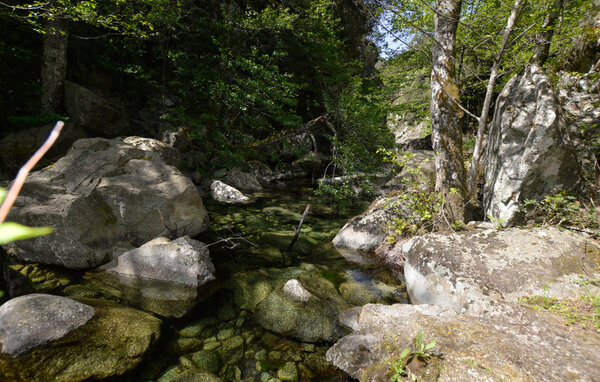 Appartamento - LUGO DI NAZZA , Francia - FKO719 903