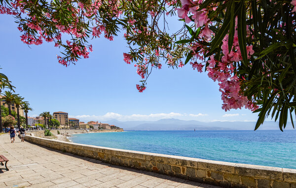 Vakantiehuis - VERO , Frankrijk - FKO720 6