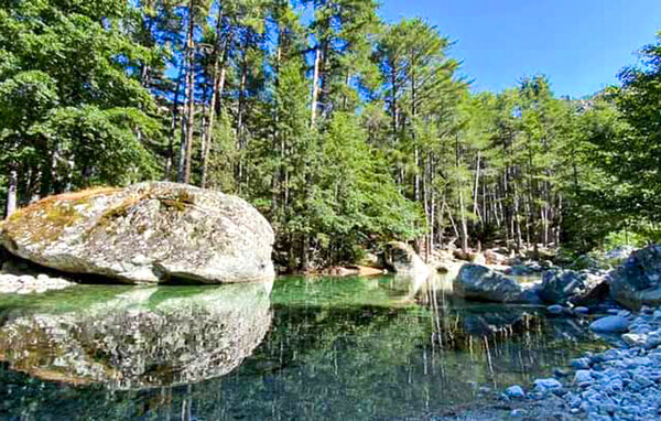 Semesterhus - LOPIGNA , Frankrike - FKO731 903
