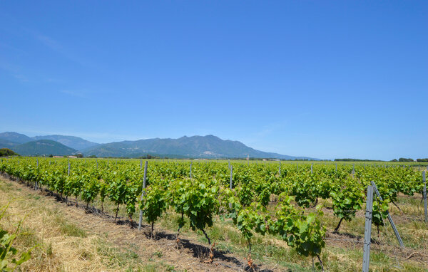 Vakantiehuis - SAN GIULIANO , Frankrijk - FKO733 901