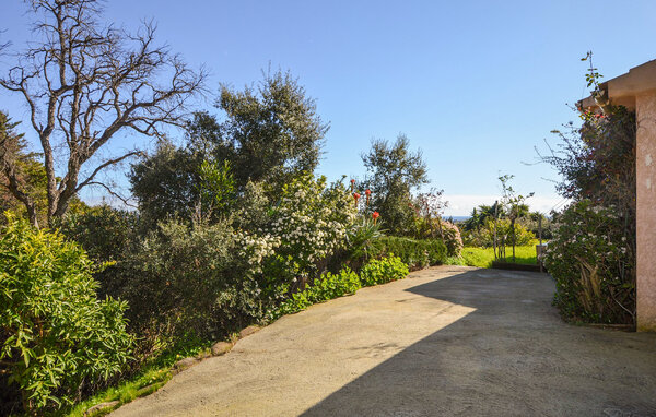 Vakantiehuis - SAN GIULIANO , Frankrijk - FKO733 102