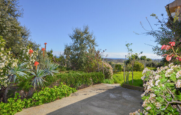 Vakantiehuis - SAN GIULIANO , Frankrijk - FKO733 103