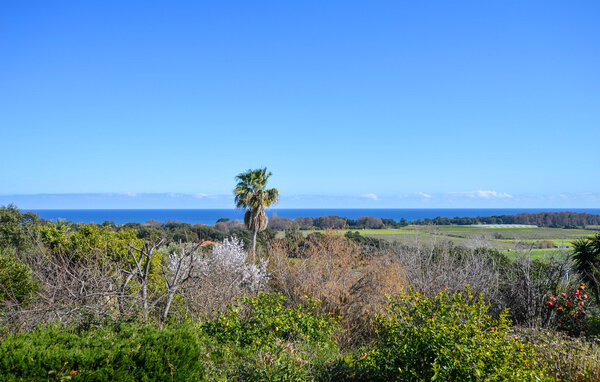 Vakantiehuis - SAN GIULIANO , Frankrijk - FKO733 201