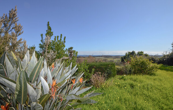 Vakantiehuis - SAN GIULIANO , Frankrijk - FKO733 202