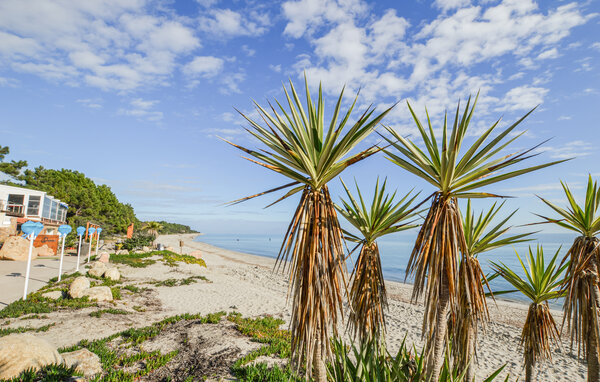Semesterhus - Prunelli di fiumorbo , Frankrike - FKO734 901