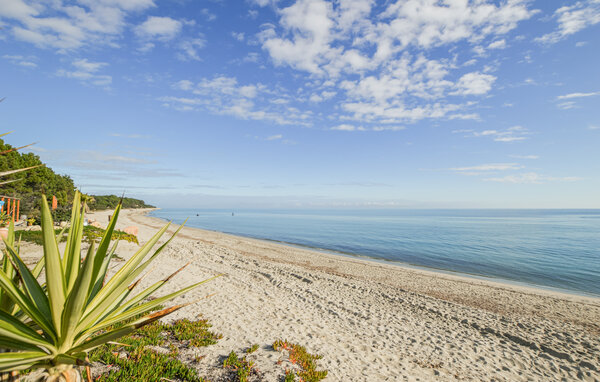 Semesterhus - Prunelli di fiumorbo , Frankrike - FKO734 902