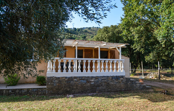 Vakantiehuis - Ponte Novu , Frankrijk - FKO760 81
