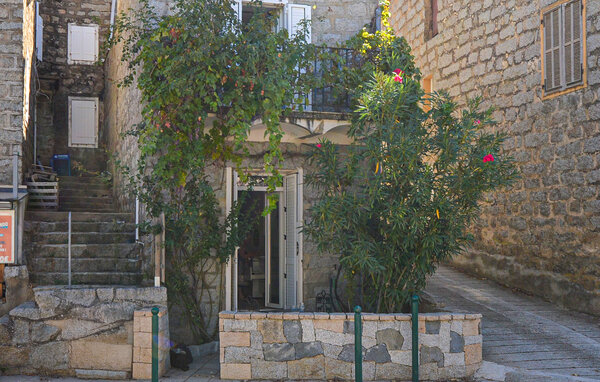 Appartement - Casalabriva , France - FKO763 1