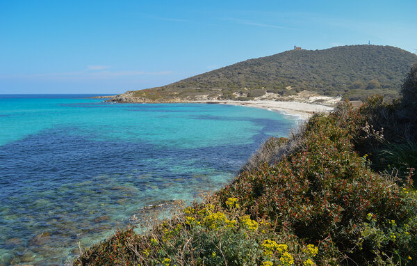 Lejlighed - CALVI , Frankrig - FKO769 902