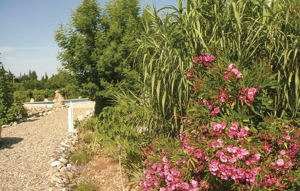 Ferienhaus - Argeliers , Frankreich - FLA228 101