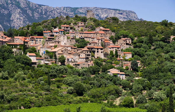 Ferienhaus - Saint-Laurent-de-la-Cabrerisse , Frankreich - FLA345 904