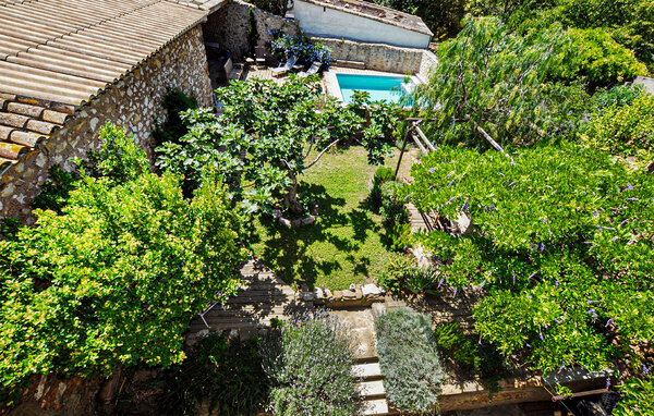 Vakantiehuis - Thézan-des-Corbières , Frankrijk - FLA384 7