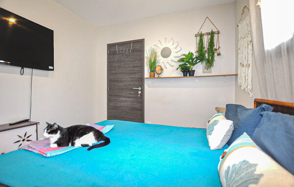 Location de vacances - Treilles , France - FLA397 603