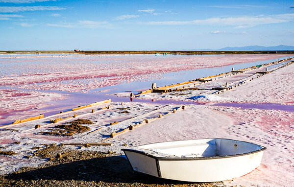 Apartamento - Narbonne , Francia - FLA402 901