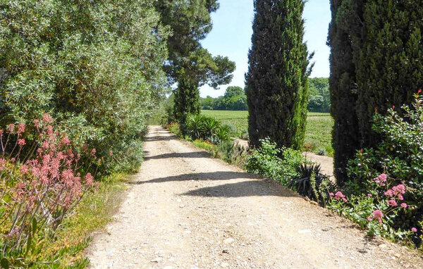 Vakantiehuis - Mirepeisset , Frankrijk - FLA411 105