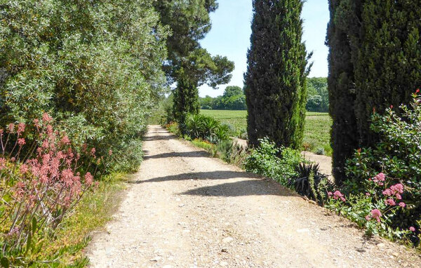 Vakantiehuis - Mirepeisset , Frankrijk - FLA412 104