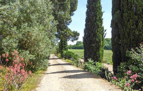 Appartement - Mirepeisset , Frankrijk - FLA414 7