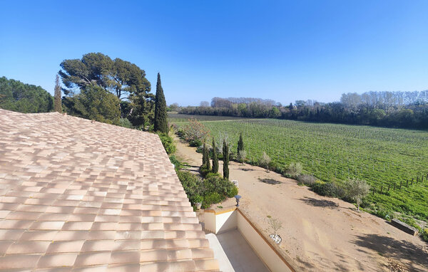 Appartement - Mirepeisset , Frankrijk - FLA414 6